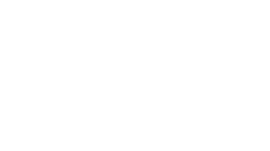 SAN Airport Logo Logo